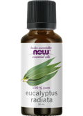 Eucalyptus Radiata Oil - 30ml