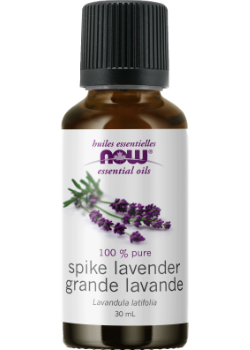 Spike Lavender Oil - 30ml