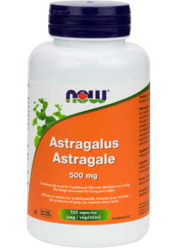 Astragalus Root 500mg - 100 Caps
