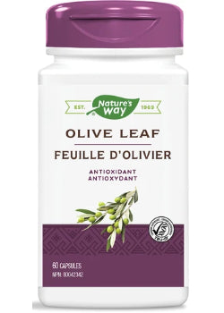 Olive Leaf Standardized 250mg - 60 Caps