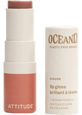 Lip Gloss (Ginger, Unscented) - 3.4g