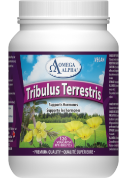 Puncture Vine (Tribulus Terrestris) - 120ml