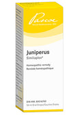 Juniperus Similiaplex - 50ml