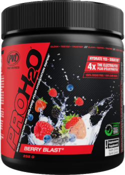 PROH20 (Berry Blast) - 255g