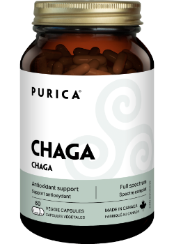 Chaga - 60 V-Caps + BONUS
