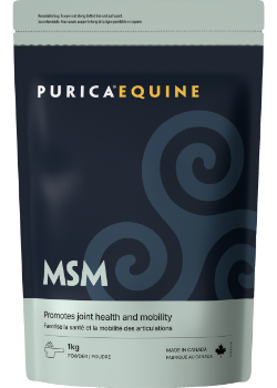 Equine Vegan MSM - 1kg