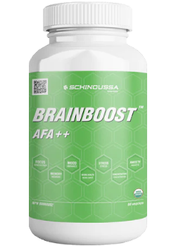 Brain Boost - 60 V-Caps