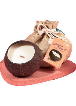Coco Candle (Sugar Bloom) - 300g