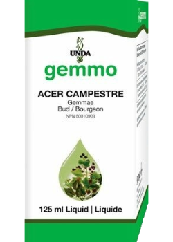 Gemmo Acer Campestre - 125ml