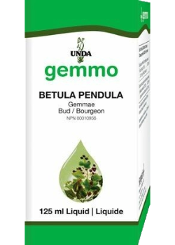 Gemmo Betula Pendula (Bud) - 125ml