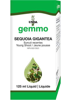 Gemmo Sequoia Gigantea (Young Shoot) - 125ml