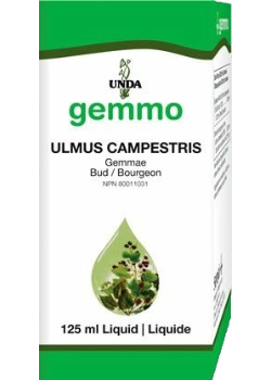 Gemmo Ulmus Campestris - 125ml