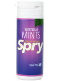 Berry Blast Mints - 45 Pieces