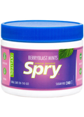 Berry Blast Mints - 240 Pieces