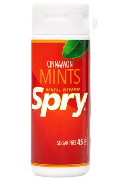 Cinnamon Mints - 45 Pieces
